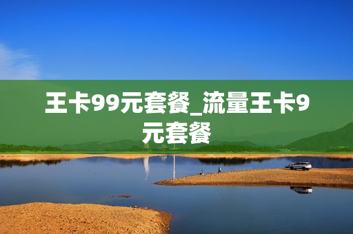 王卡99元套餐_流量王卡9元套餐