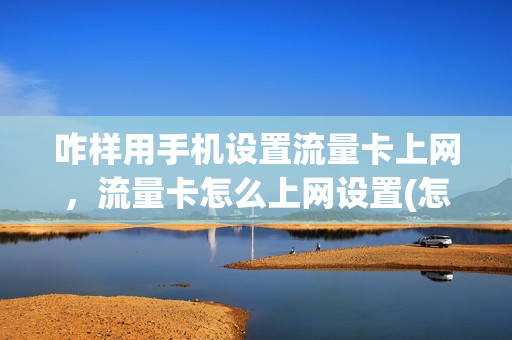 咋样用手机设置流量卡上网，流量卡怎么上网设置(怎样设置流量卡和手机卡)