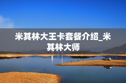 米其林大王卡套餐介绍_米其林大师