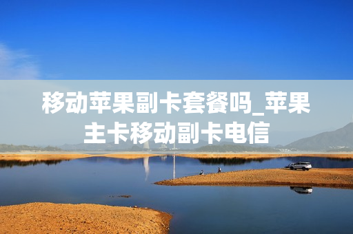 移动苹果副卡套餐吗_苹果主卡移动副卡电信
