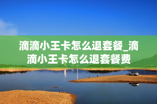 滴滴小王卡怎么退套餐_滴滴小王卡怎么退套餐费