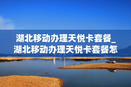 湖北移动办理天悦卡套餐_湖北移动办理天悦卡套餐怎么样