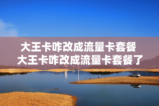 大王卡咋改成流量卡套餐 大王卡咋改成流量卡套餐了