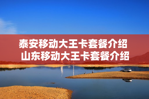 泰安移动大王卡套餐介绍 山东移动大王卡套餐介绍