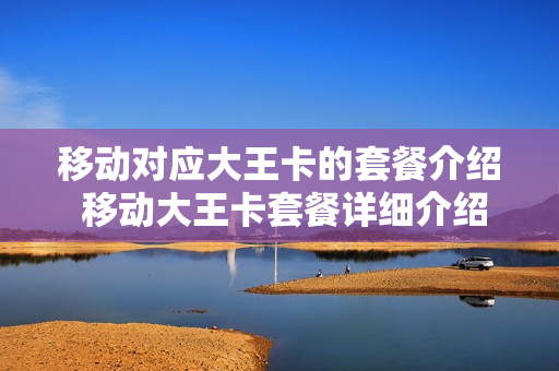 移动对应大王卡的套餐介绍 移动大王卡套餐详细介绍