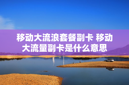 移动大流浪套餐副卡 移动大流量副卡是什么意思