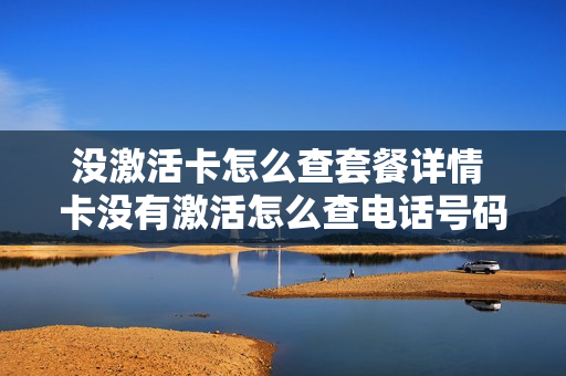 没激活卡怎么查套餐详情 卡没有激活怎么查电话号码