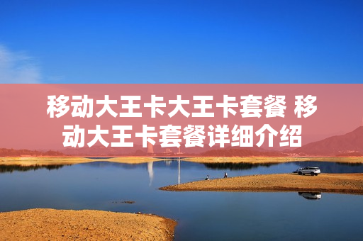 移动大王卡大王卡套餐 移动大王卡套餐详细介绍