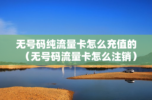 无号码纯流量卡怎么充值的（无号码流量卡怎么注销）