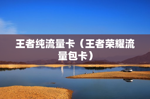 王者纯流量卡（王者荣耀流量包卡）