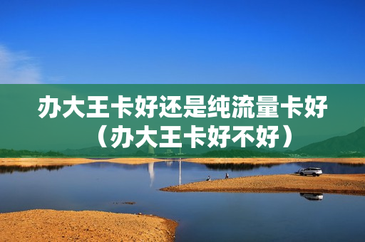 办大王卡好还是纯流量卡好（办大王卡好不好）