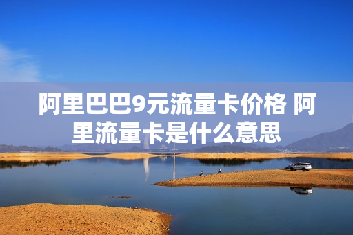 阿里巴巴9元流量卡价格 阿里流量卡是什么意思
