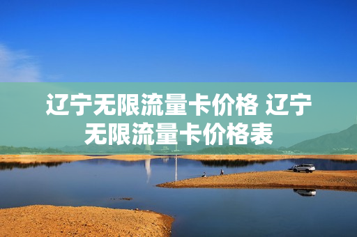 辽宁无限流量卡价格 辽宁无限流量卡价格表
