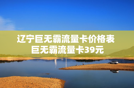 辽宁巨无霸流量卡价格表 巨无霸流量卡39元