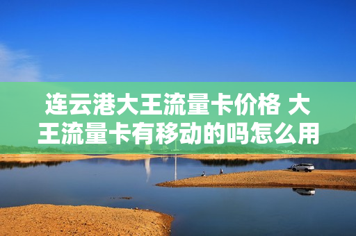 连云港大王流量卡价格 大王流量卡有移动的吗怎么用