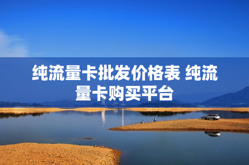 纯流量卡批发价格表 纯流量卡购买平台