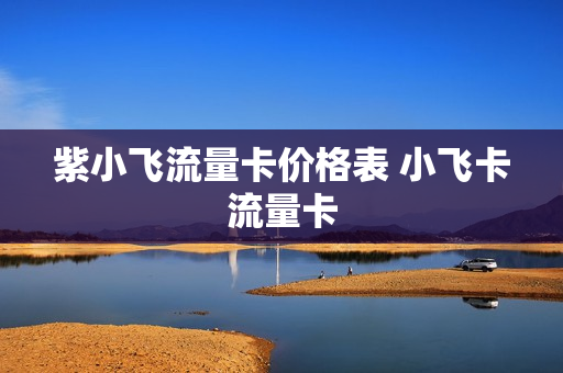 紫小飞流量卡价格表 小飞卡流量卡