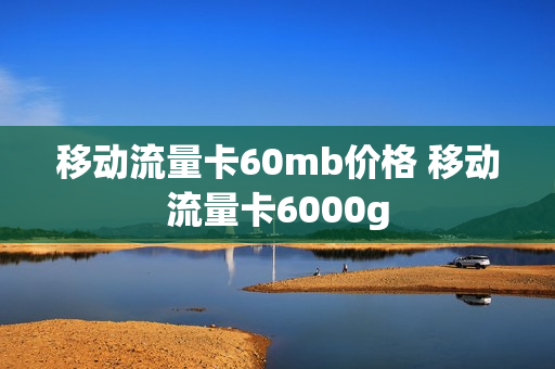 移动流量卡60mb价格 移动流量卡6000g