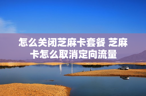 怎么关闭芝麻卡套餐 芝麻卡怎么取消定向流量