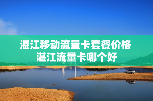 湛江移动流量卡套餐价格 湛江流量卡哪个好