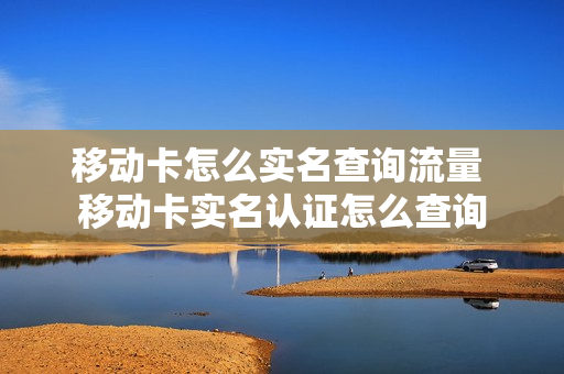 移动卡怎么实名查询流量 移动卡实名认证怎么查询