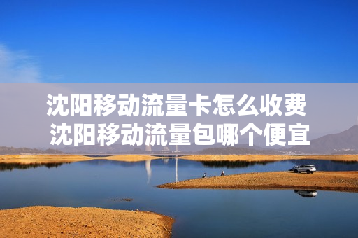 沈阳移动流量卡怎么收费 沈阳移动流量包哪个便宜