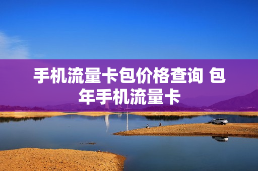 手机流量卡包价格查询 包年手机流量卡