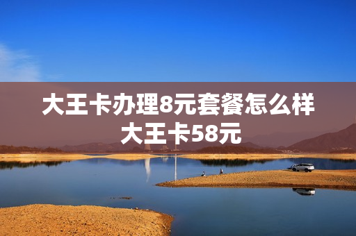 大王卡办理8元套餐怎么样 大王卡58元