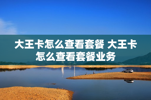 大王卡怎么查看套餐 大王卡怎么查看套餐业务
