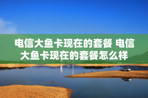 电信大鱼卡现在的套餐 电信大鱼卡现在的套餐怎么样