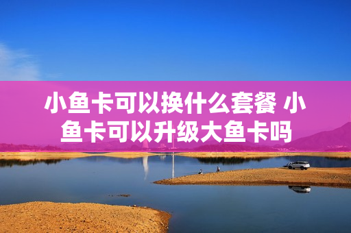 小鱼卡可以换什么套餐 小鱼卡可以升级大鱼卡吗