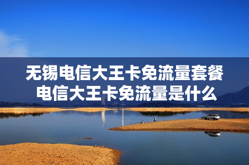 无锡电信大王卡免流量套餐 电信大王卡免流量是什么意思