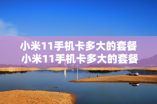 小米11手机卡多大的套餐 小米11手机卡多大的套餐好用