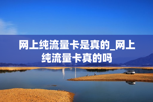 网上纯流量卡是真的_网上纯流量卡真的吗
