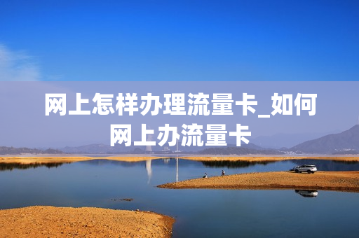网上怎样办理流量卡_如何网上办流量卡