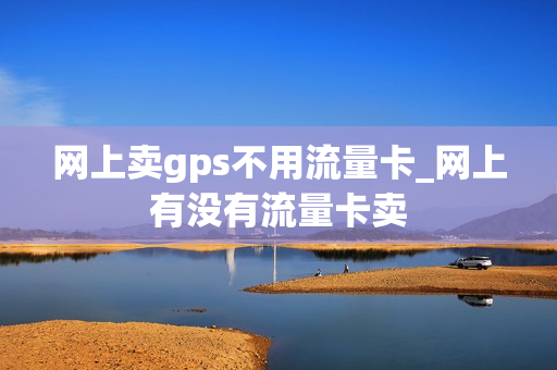 网上卖gps不用流量卡_网上有没有流量卡卖