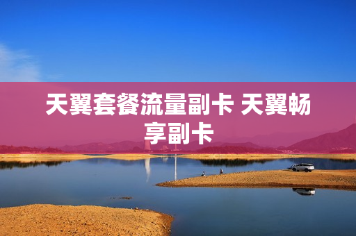天翼套餐流量副卡 天翼畅享副卡