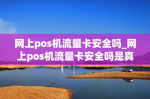 网上pos机流量卡安全吗_网上pos机流量卡安全吗是真的吗