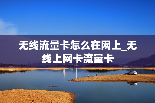 无线流量卡怎么在网上_无线上网卡流量卡