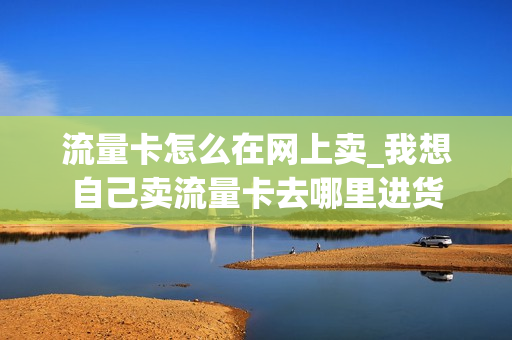流量卡怎么在网上卖_我想自己卖流量卡去哪里进货