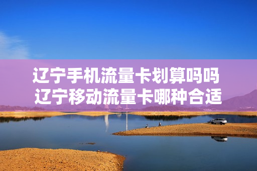 辽宁手机流量卡划算吗吗 辽宁移动流量卡哪种合适
