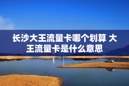 长沙大王流量卡哪个划算 大王流量卡是什么意思