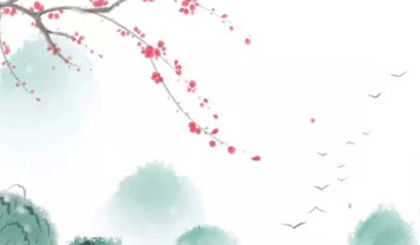 合并两个卡的套餐怎么变更 合并电话卡