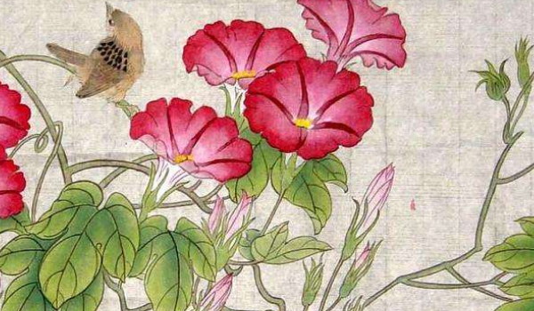 京东体验卡日租卡套餐详情 京东体验卡日租卡套餐详情是什么