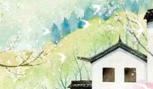 电信米粉卡能转套餐吗 电信米粉卡可以转套餐吗