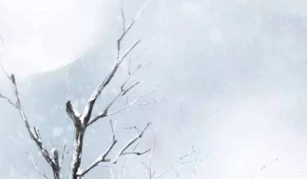 广州手机卡优惠套餐 广州手机卡优惠套餐有哪些